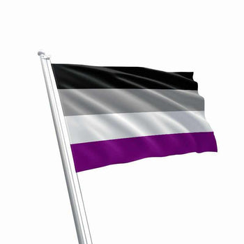 Large Asexual Flag