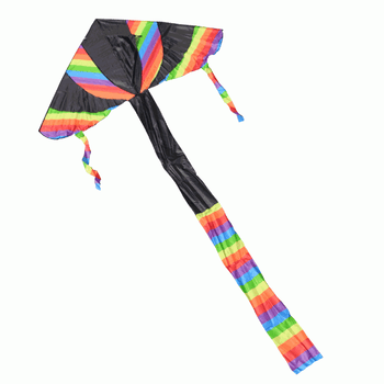 Pride Flying Kite