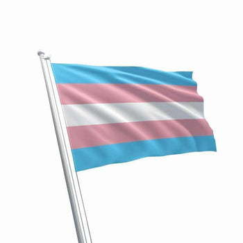 Large Transgender Flag