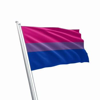 Large Bi-Sexual Flag