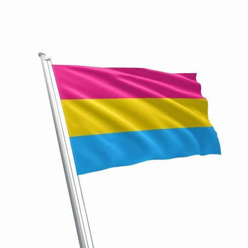 Large Pansexual Flag