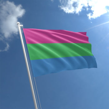 Large Polysexual Flag