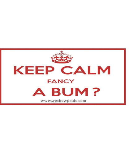 BUMPER STICKERS